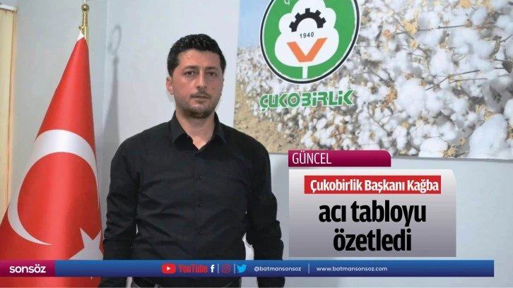 Basın 13