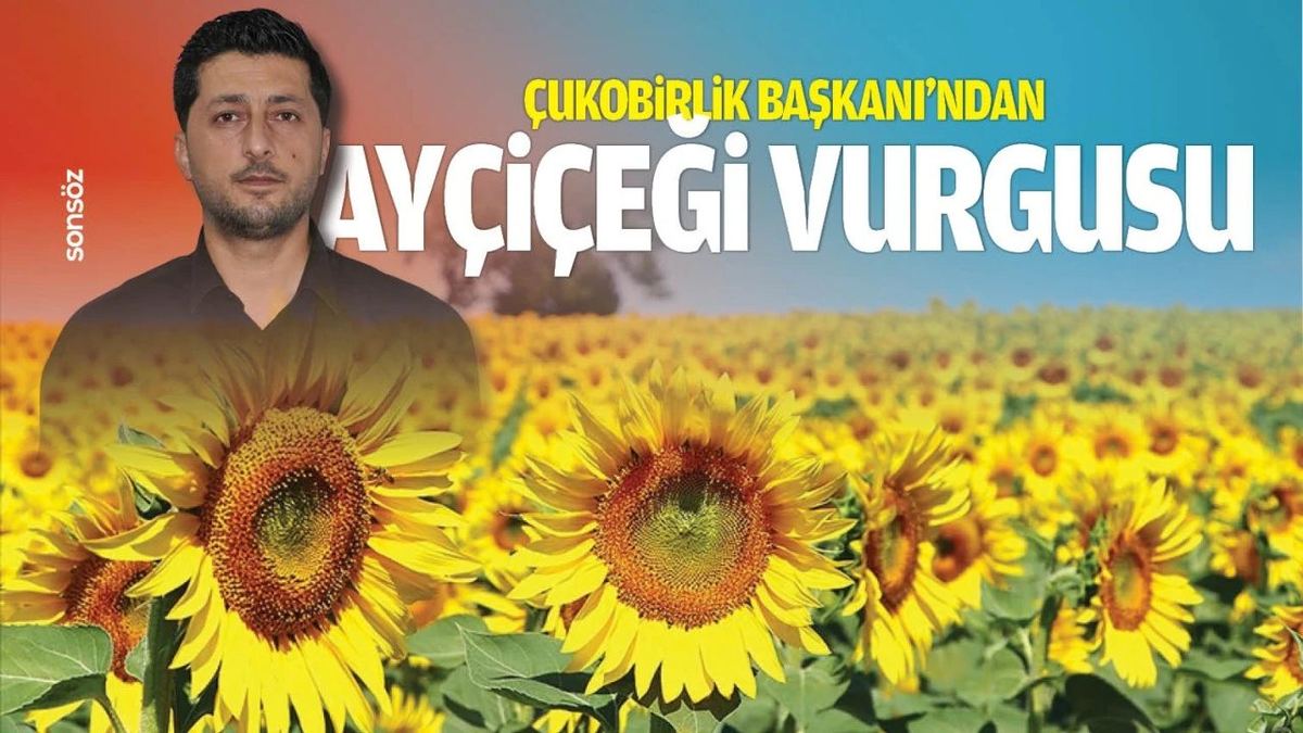Basın 25